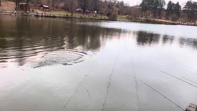 Основной водоём смотреть онлайн