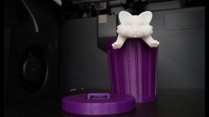 3D-игрушка ПОДВИЖНЫЙ ЕНОТ!   #raccoon #pedro