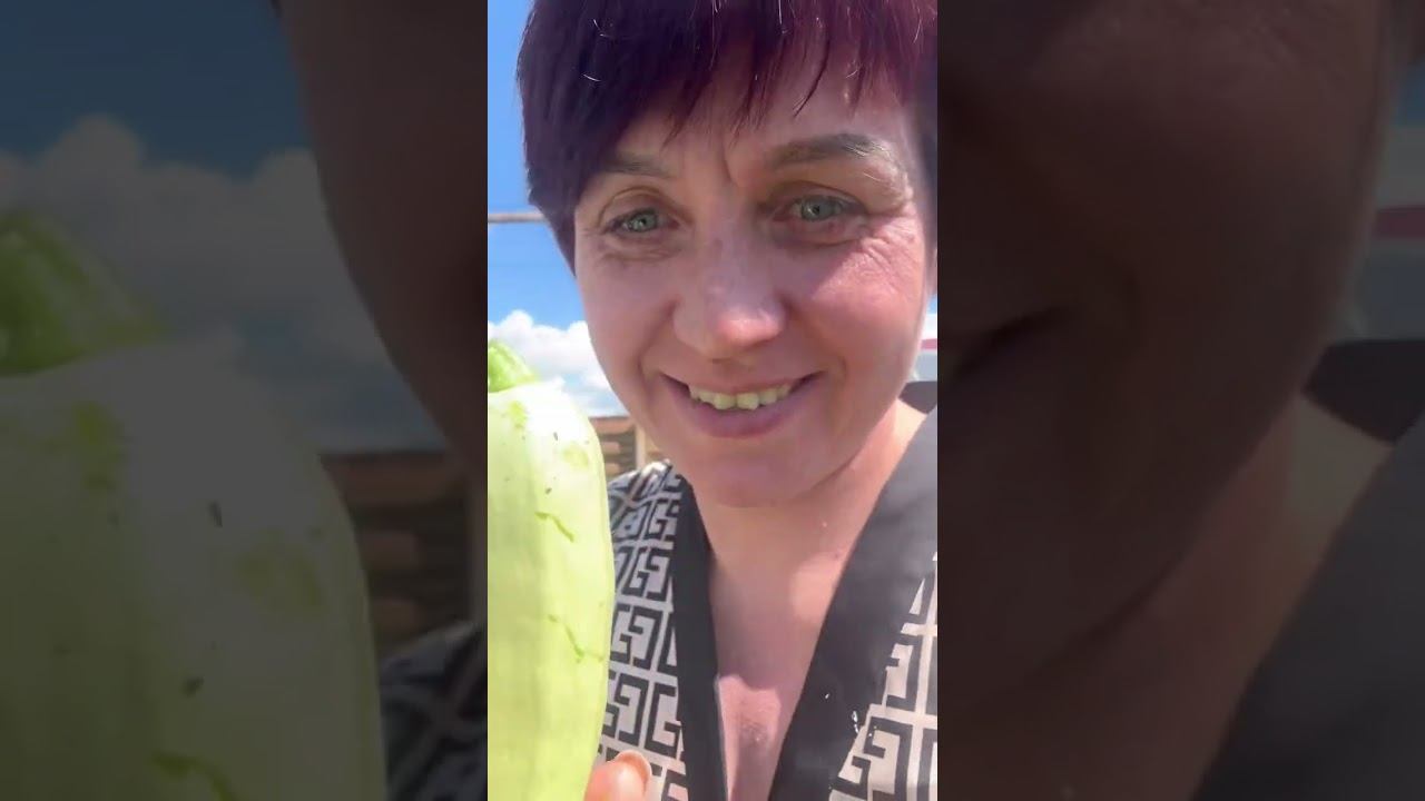 Урааа кабачки пошли свои❤️❤️❤️ смотреть онлайн