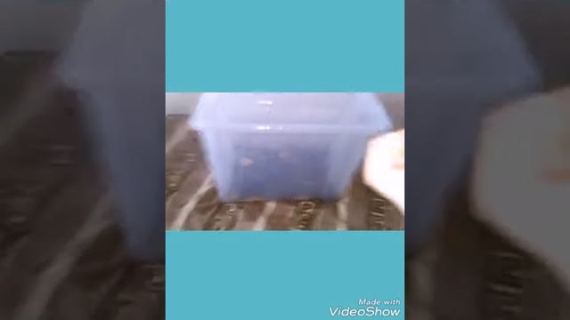 Все мои улитки///новые улитки смотреть онлайн