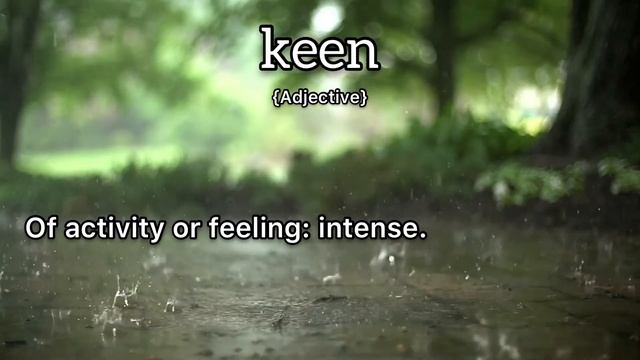 Keen Meaning : Definition of Keen смотреть онлайн