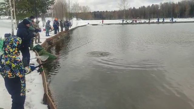 WhatsApp Video 2025-04-12 at 10.01.52 смотреть онлайн