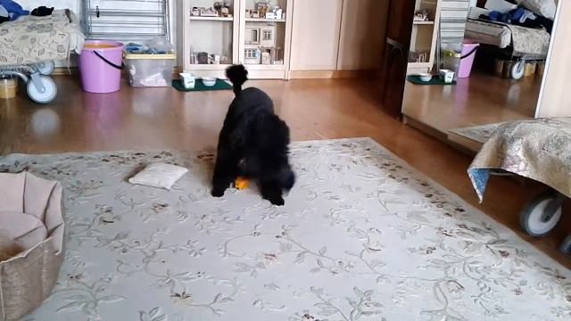 Мотя играет смотреть онлайн