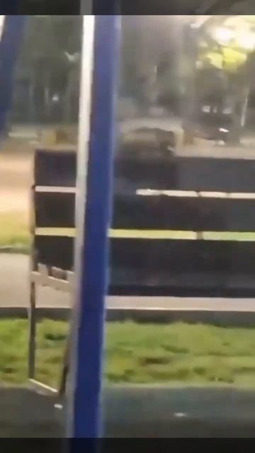 Медведь прогуливается по детской площадке в Лесозаводске смотреть онлайн