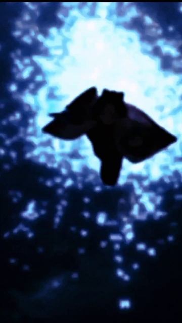 Эдит с Шинобу#шинобу#аниме#эдит#рекомендации смотреть онлайн