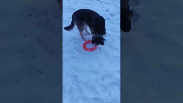 23 января 2023 г. смотреть онлайн