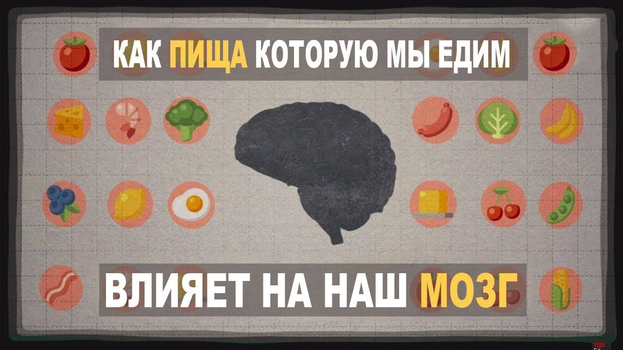 Как влияет пища которую мы едим на наш мозг