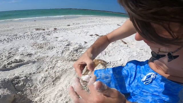 GHOST CRAB! смотреть онлайн