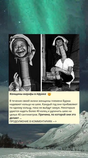 Женщины-жирафы в Африке 🤯 смотреть онлайн