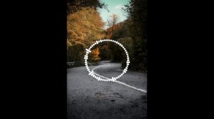 Мисрина Магомедова 2025