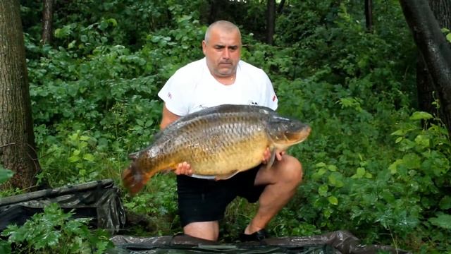 Jezioro Miłoszewskie - www.miloszewskie.pl - Karp 25,1kg. смотреть онлайн
