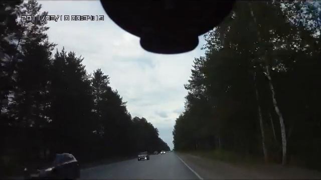 Лось на дороге смотреть онлайн