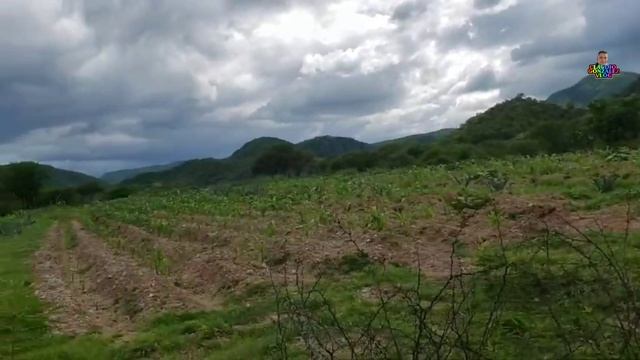 San Jerónimo Nuchita Asi Se Mira Todo Verde Ahora Los Ríos Si Tienen Mucha Agua смотреть онлайн