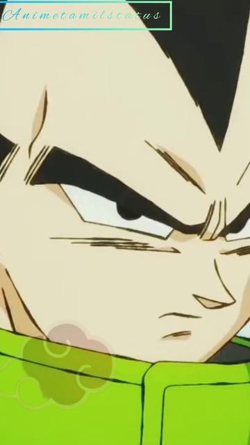 paragus scared by vegeta power 😈😈🥶🥶🥵#amvstatus #goku #vegeta #dbs #dbsheroes смотреть онлайн