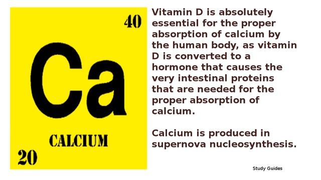 Top 50 Interesting Facts about Calcium смотреть онлайн