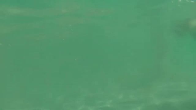 теперь я могу снимать под водой смотреть онлайн