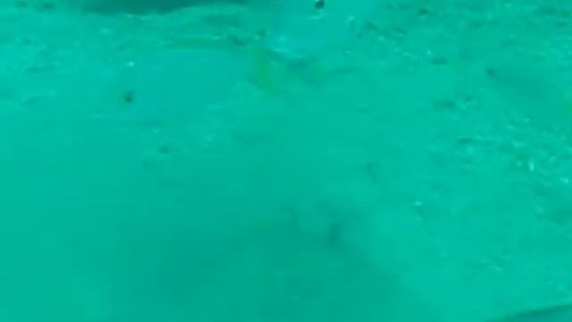 cooking up a (sand) storm смотреть онлайн