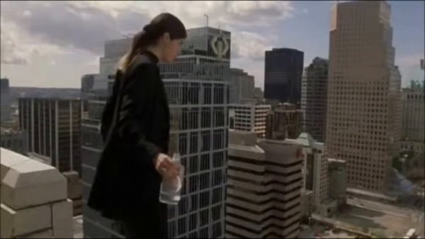 Мишины Dolphinы - Обратный отсчёт (handMade) - demo