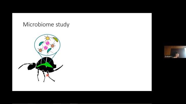 OFFCS Talk: Peter Contos, Rewilding Minibeasts for Biodiversity and Ecosystem Function смотреть онлайн