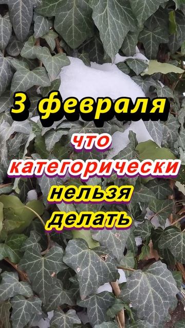 3 февраля народный праздник Максим Исповедник или Максимов день. Что нельзя делать. Народные примет смотреть онлайн