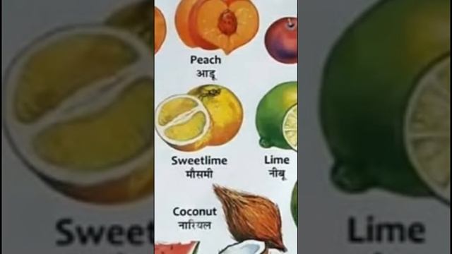 İngilizce tropikal meyveler смотреть онлайн