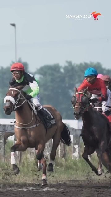 Horse Racing in Slow Motion! #sarga #pacuankudaindonesia смотреть онлайн