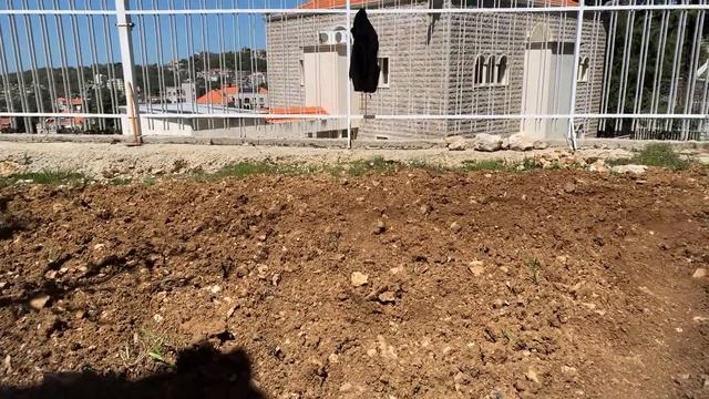 Take 2😎😆at the garden смотреть онлайн