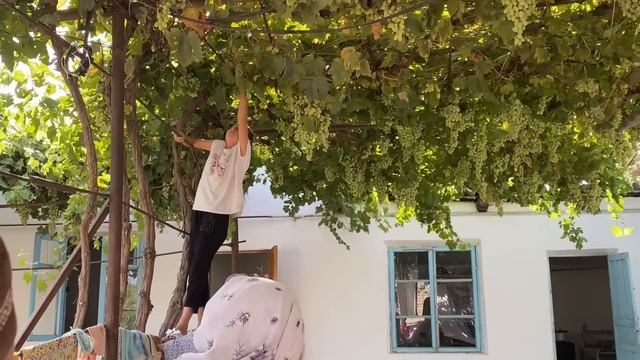 Өзбекстан анамның төркіні НАЙМАН ауылына машинамен саяхат смотреть онлайн