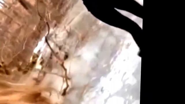Лутшие прыколы смотреть онлайн