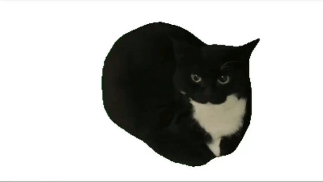 Maxwell cat 1 hour :))) смотреть онлайн