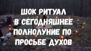ШОК РИТУАЛ
В СЕГОДНЯШНЕЕ
ПОЛНОЛУНИЕ ПО ПРОСЬБЕ ДУХОВ
