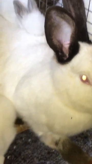 Очередной день) смотреть онлайн