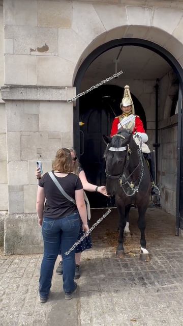 "Royal Horse vs. Tourists: The Ultimate Showdown of Fun and Fails! 🐴👑😂" #Shorts смотреть онлайн