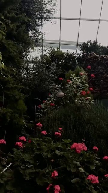 A multitude of people and yet a solitude - Charles Dickens смотреть онлайн