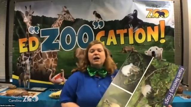 Zoo Classroom: Animal Architects смотреть онлайн