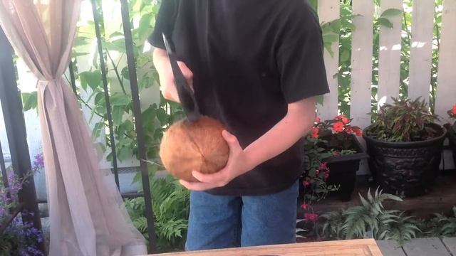 Don't be late with Nate: How to crack a coconut смотреть онлайн
