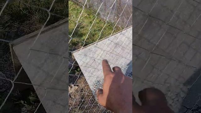 Доделал загон для цыплят и утят смотреть онлайн