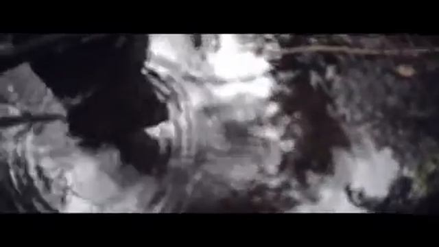 ATL - Подснежник