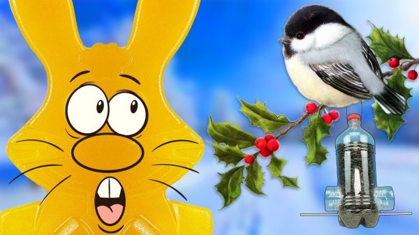 ВЫ НЕ ПОВЕРИТЕ КТО ПРИЛЕТЕЛ В КОРМУШКУ КОТОРУЮ Я СДЕЛАЛ  С ЖЕЛЕЙНЫМ ЗАЙЦЕМ ХАРИТОНОМ