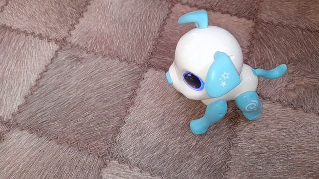 обзор робота собаки на пульте