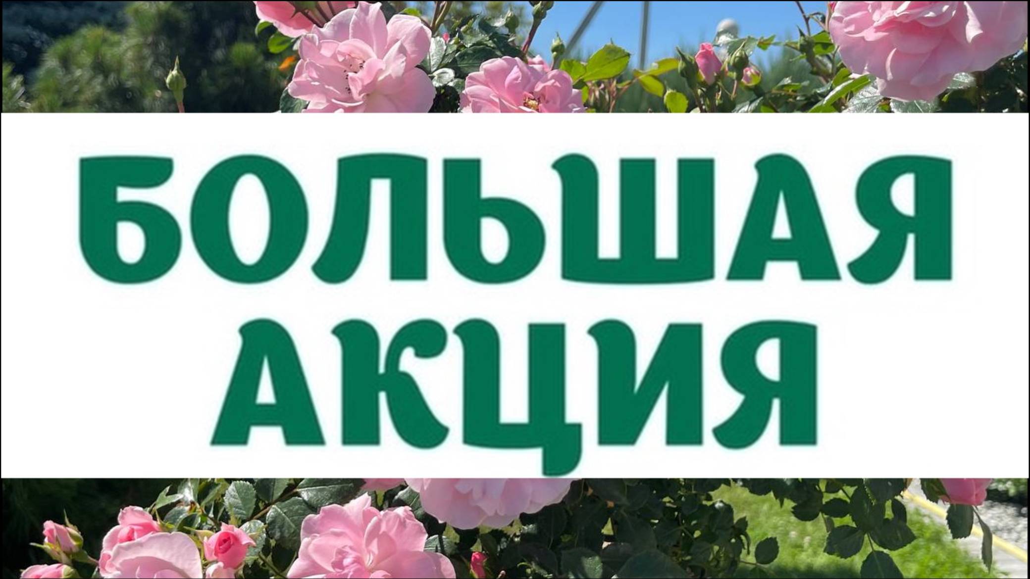 Большая акция!!! смотреть онлайн