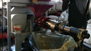 Отжим масла из кукурузного зародыша