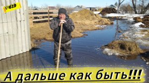 Мы в затруднении, а что делать дальше. Мы очень устали от них. Омск Москаленки жизнь в деревне.