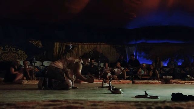 Cobra show Egipy Marsa Alam смотреть онлайн
