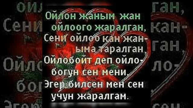 Бугунку кунунуздор конулдуу отсун