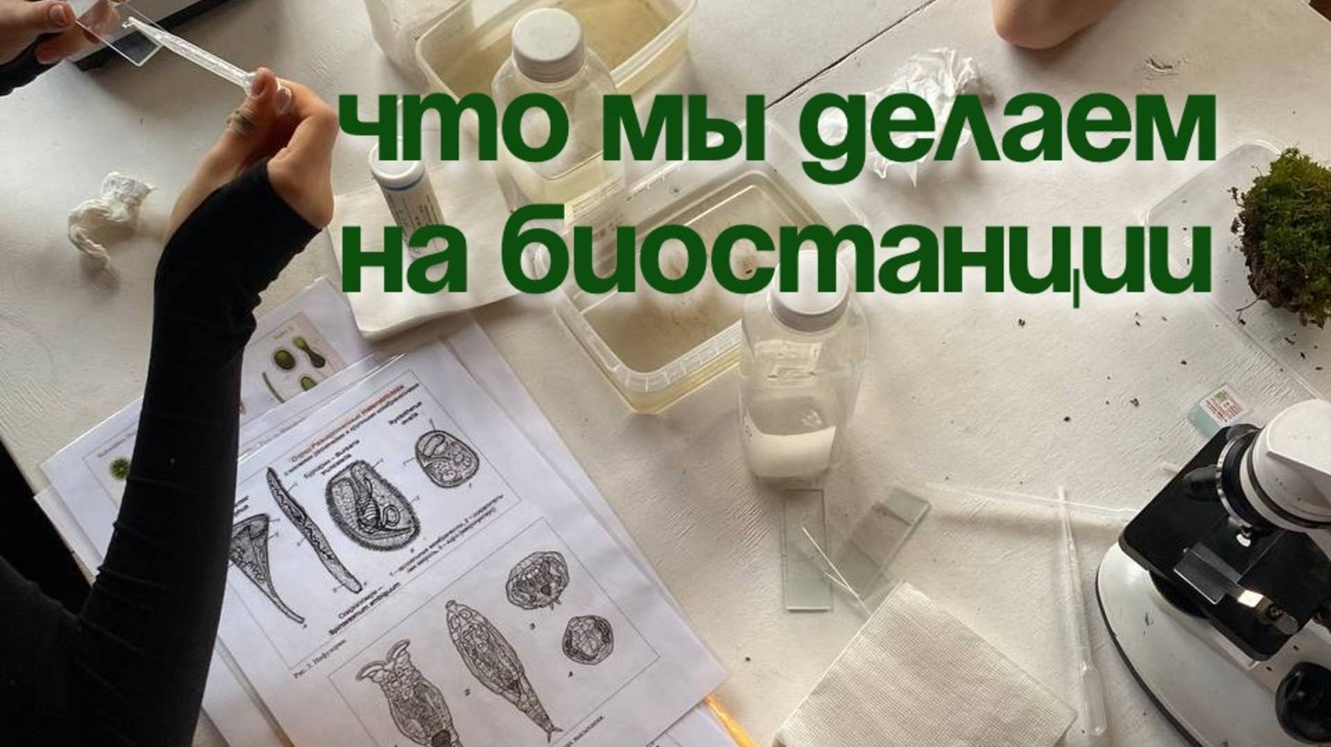 Что мы делаем на биостанции? смотреть онлайн