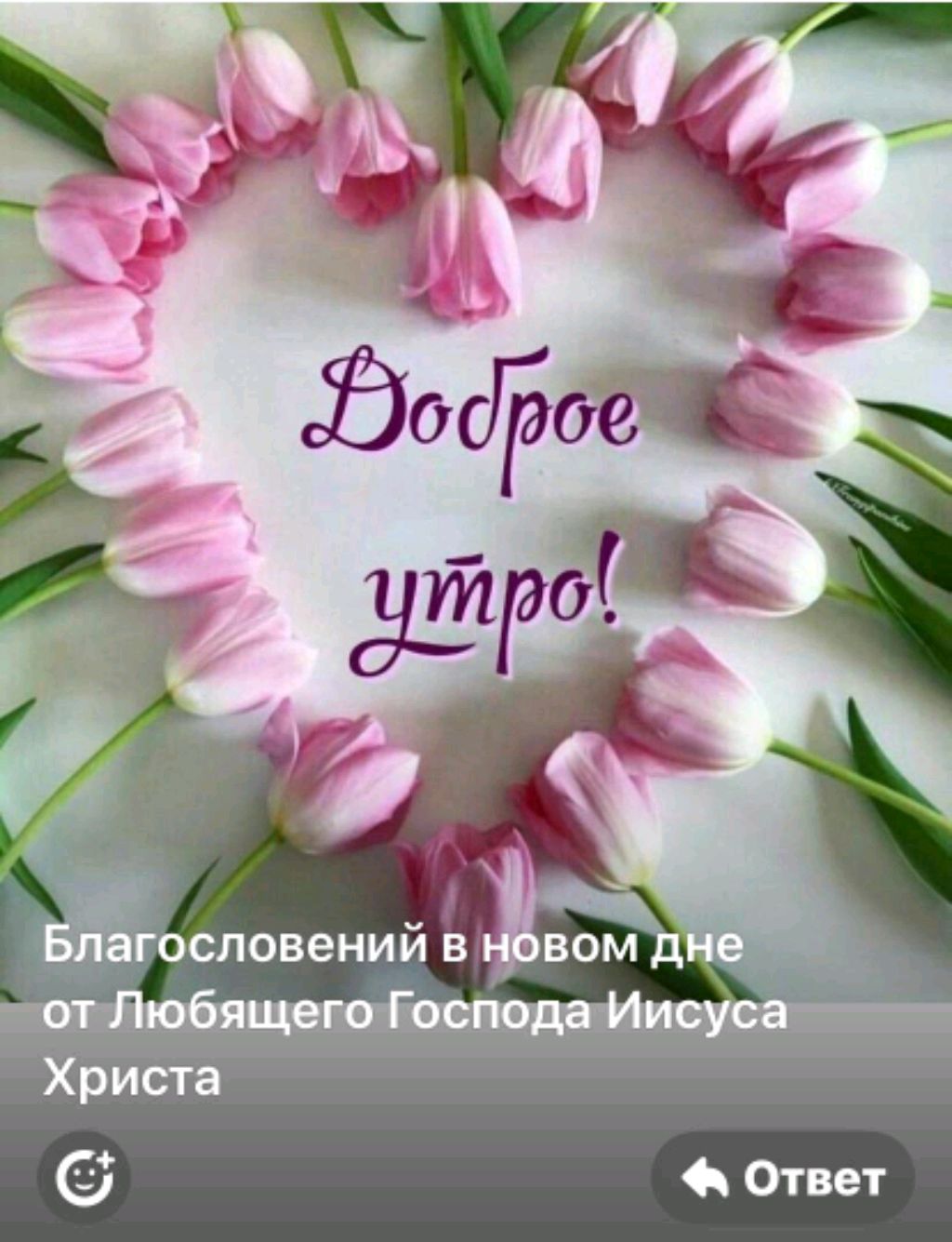 КУХНЯ РУБРИКА С ЕВОЙ смотреть онлайн