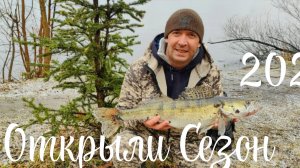 Судак на Нарезку.