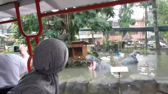 Ini Teh Rita #6 : Menikmati Syahdunya Hotel Royal Safari Garden смотреть онлайн