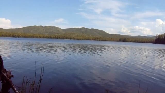 разоблачение секты Виссариона 17 смотреть онлайн